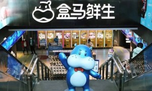 阿里大消息！马云家族信托拟减持1000万股股票